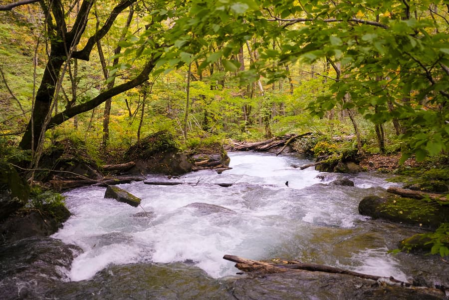 img20251021114606537772.jpg