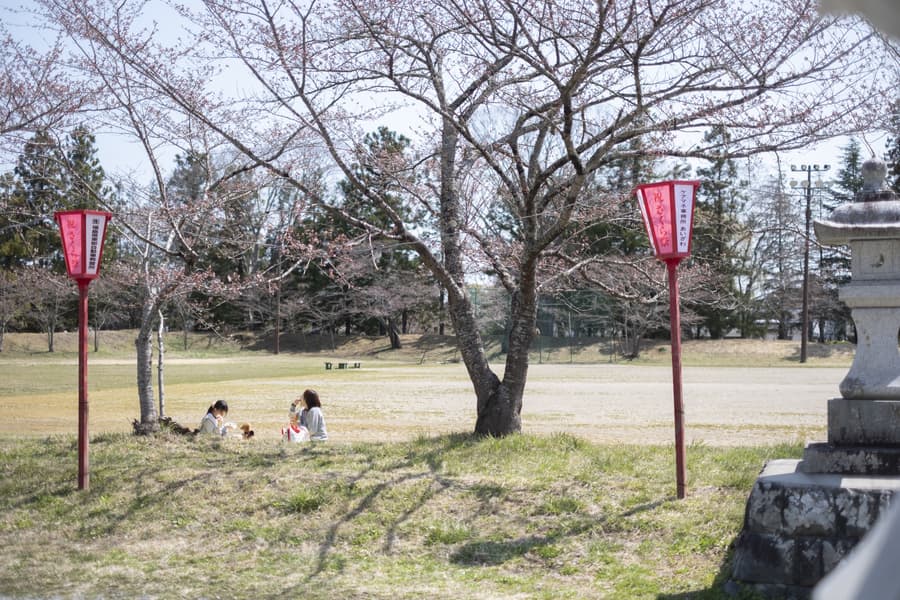 dscf8867.jpg