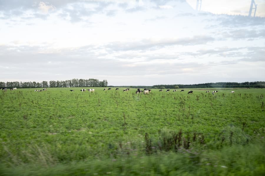 dsc_9534.jpg