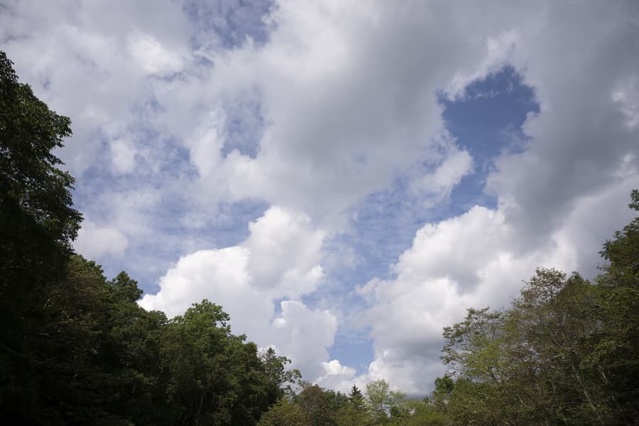 dsc_9839.jpg