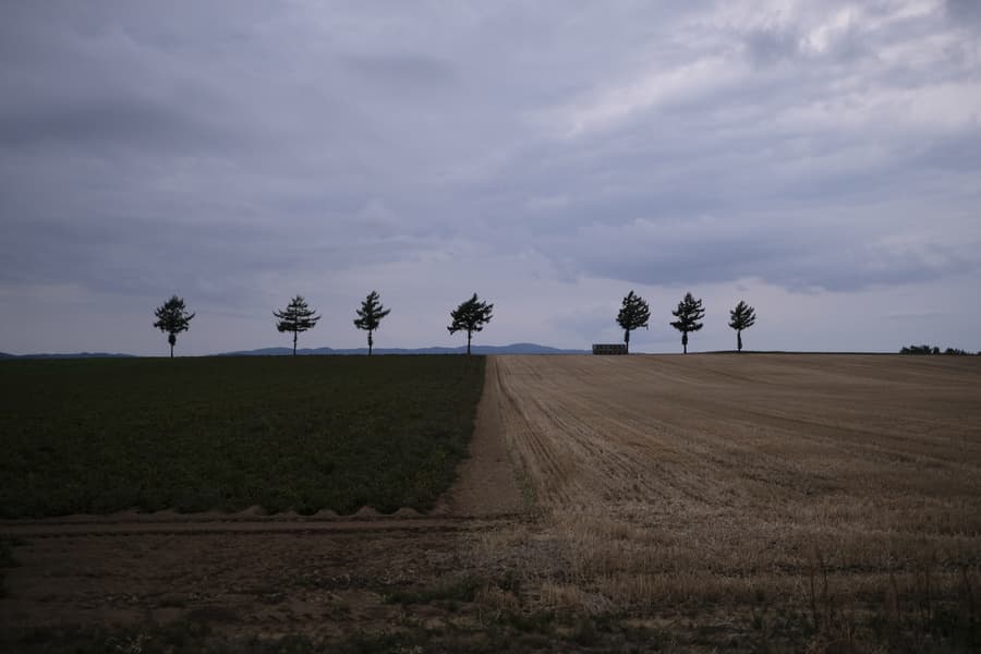 dscf0801.jpg