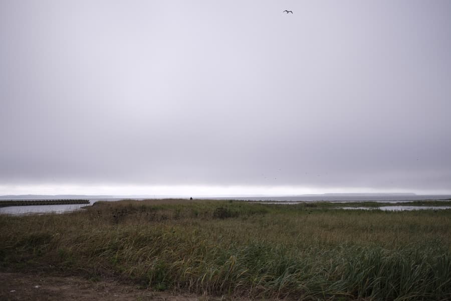dscf0883.jpg