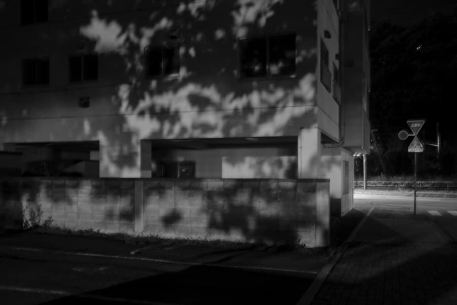 dscf0850.jpg